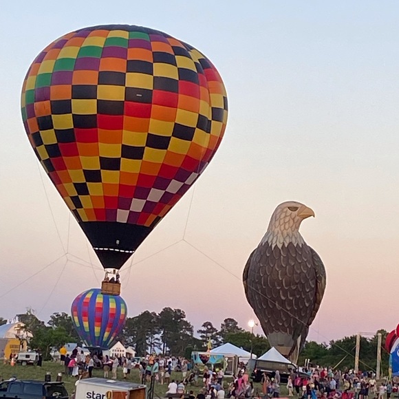 Meet your Posh Ambassador , Carolyn - Picture 6 of 16